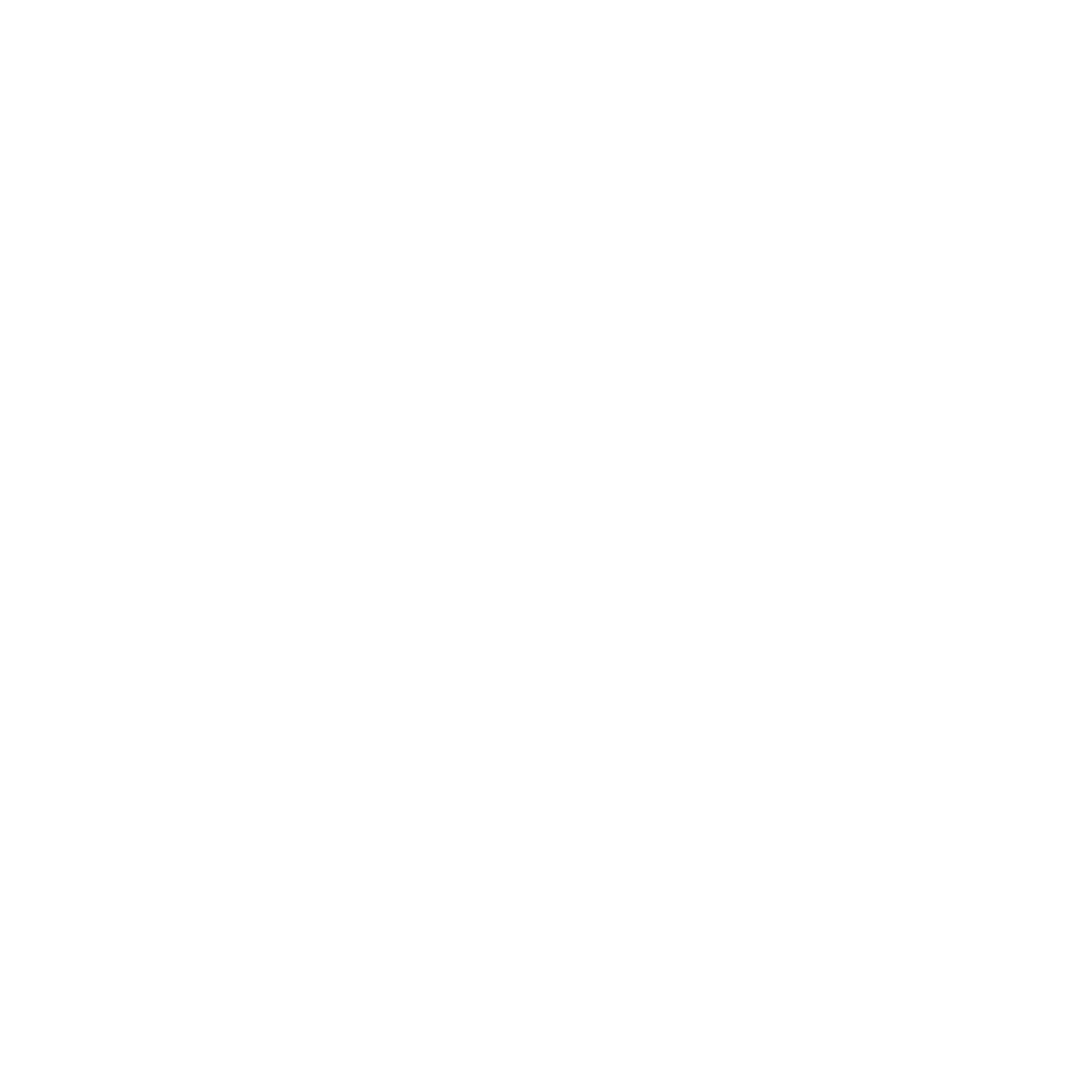 Facebook Logo Weiss