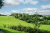 freihstehendes in der Natur gelegenes Einfamilienhaus in Kürten - Ausblick von der Terrasse