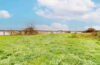zu verpachten: herrlicher Reiterhof - ein Traum für Mensch und Tier - Natur pur